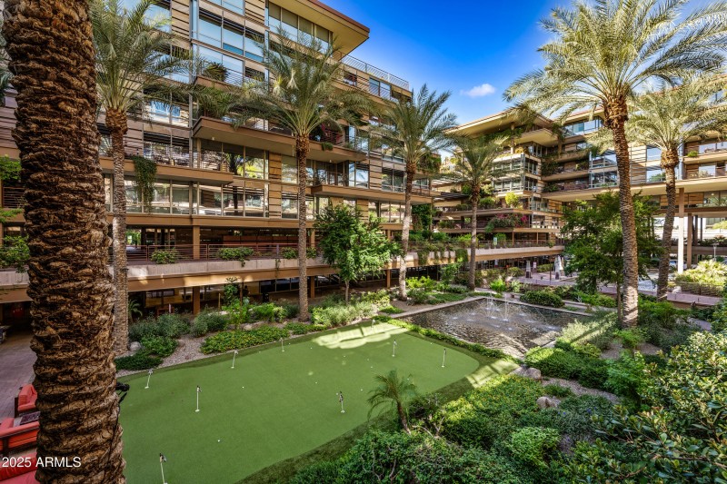 4-OptimaCamelview-ocupix-Comm