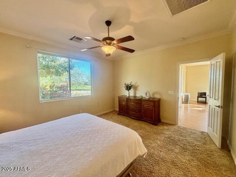 Bright Primary Bedroom