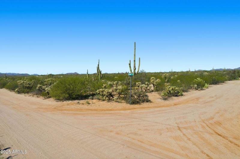 1-web-or-mls-001_ListerPros