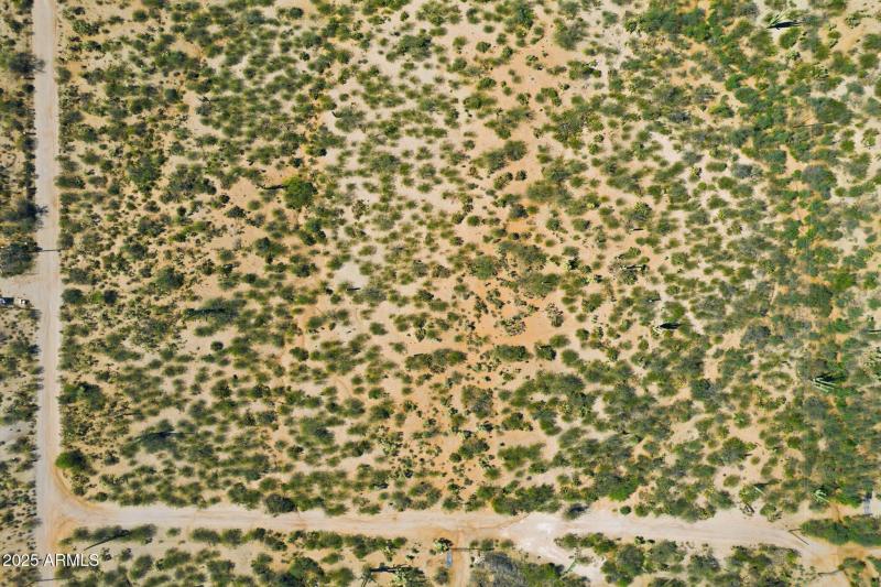 3-web-or-mls-003_ListerPros