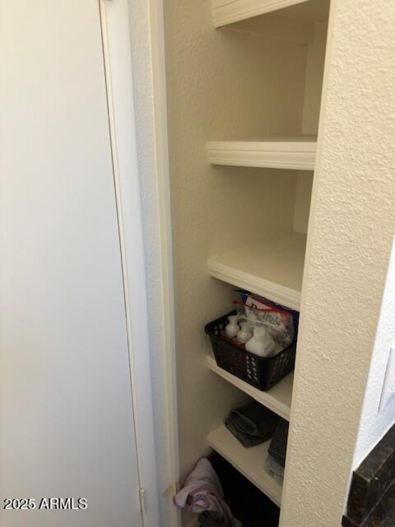 Hall Bath Linen Closet