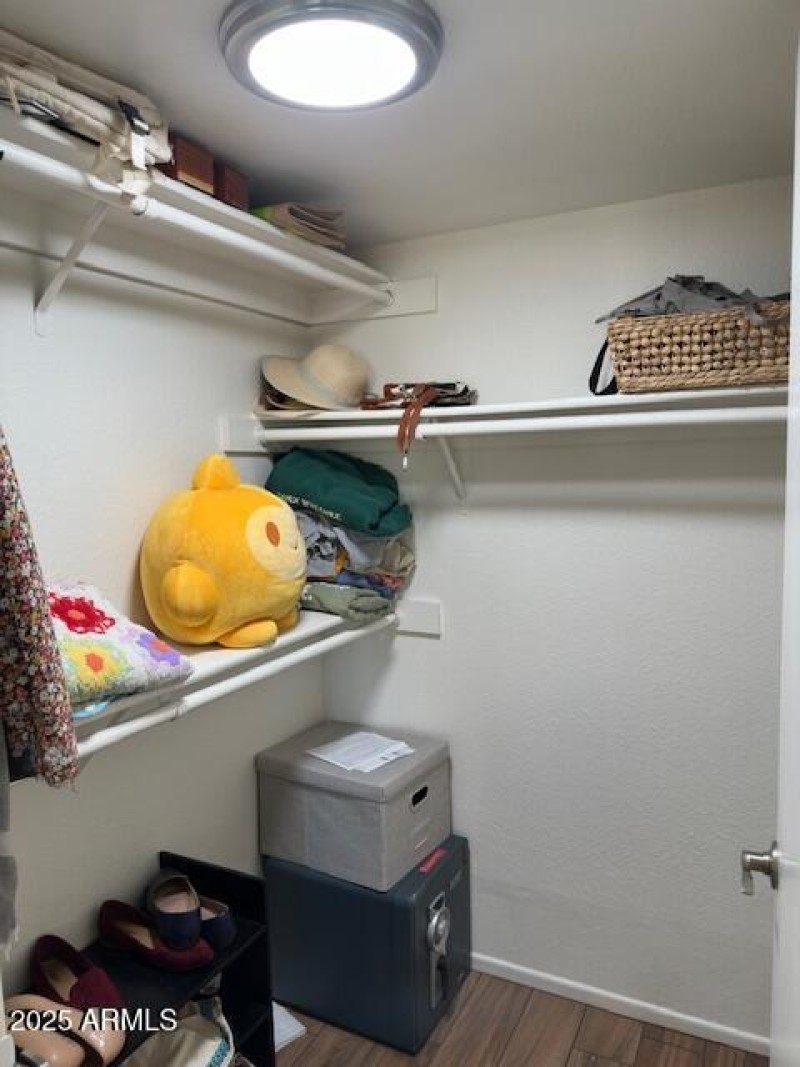 Primary Walk-In Closet