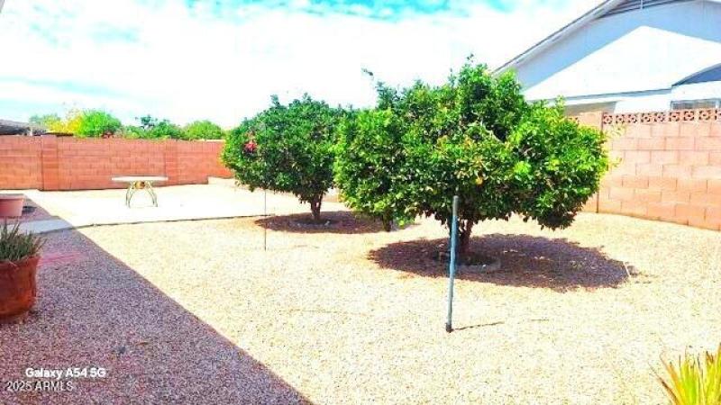 image0000 - 2025-09-15T101403.540.jpg1