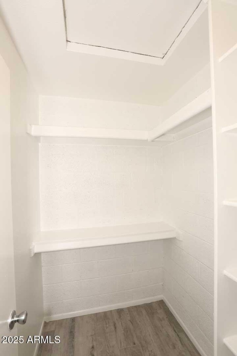 Primary Bedroom-Closet (1)