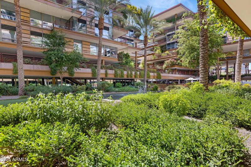 Optima Camelview Community-14