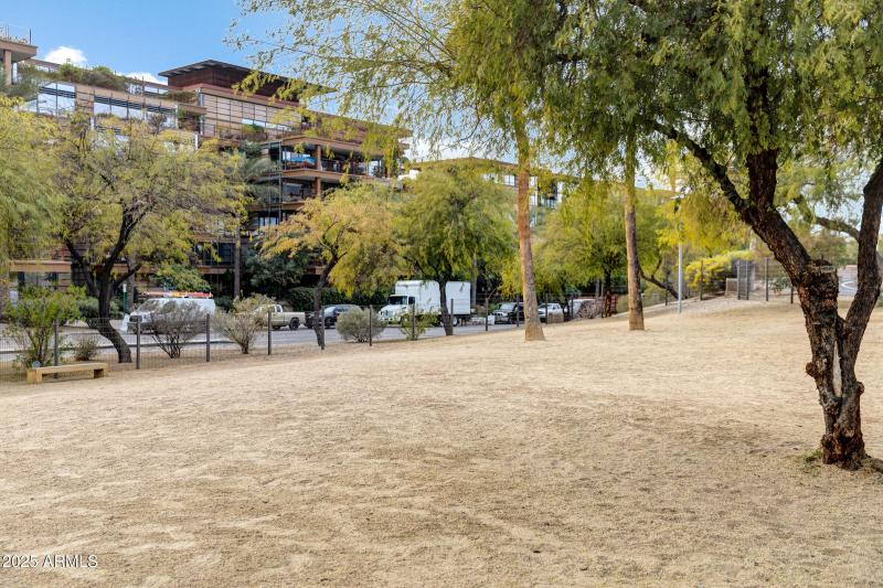 Optima Camelview Community-36