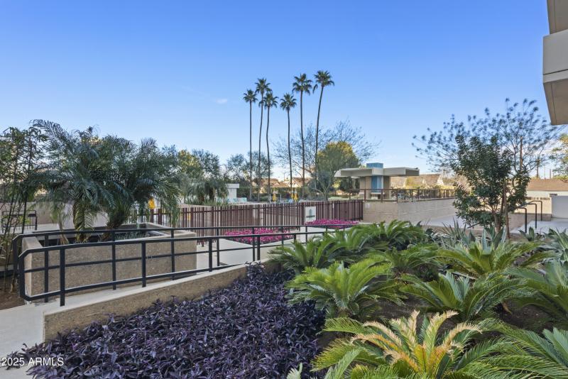 0010 Courtyard w Pool