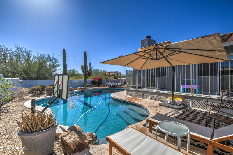 Backyard Patio & Fabulous Pool