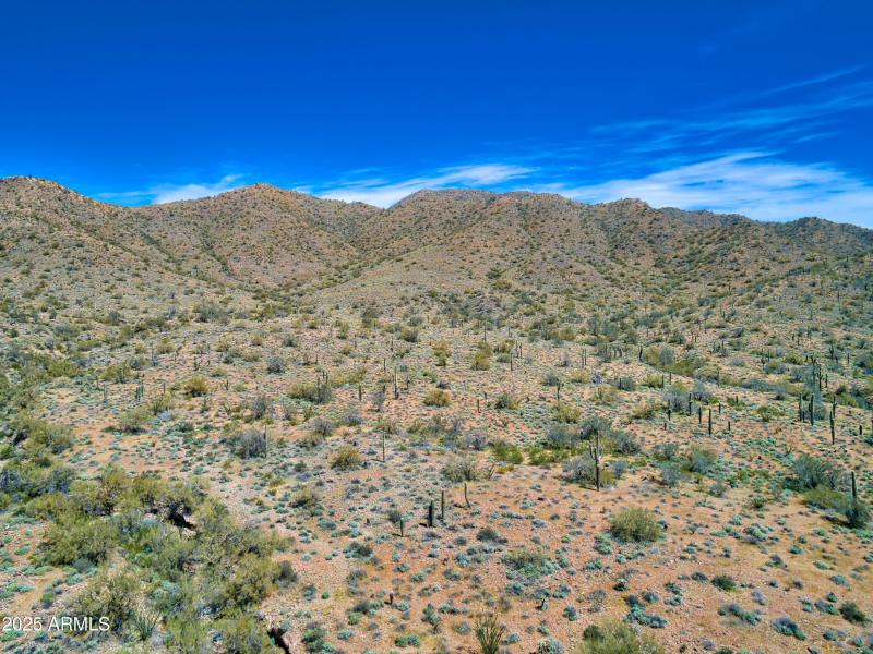 2424 W Shinnecock Ct