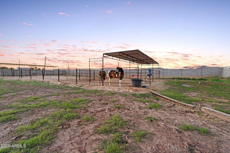 91-web-or-mls-DSC09855