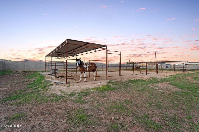 92-web-or-mls-DSC09871