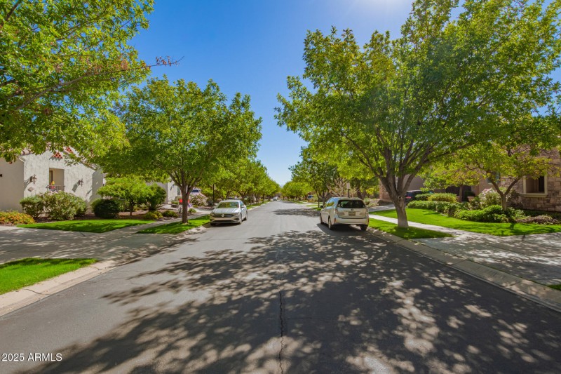 LUSH GREEN PRIVATE STREETS (1)