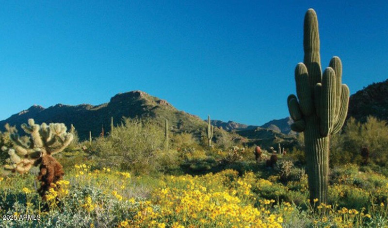 VERRADO AT THE BASE OF THE MTNS