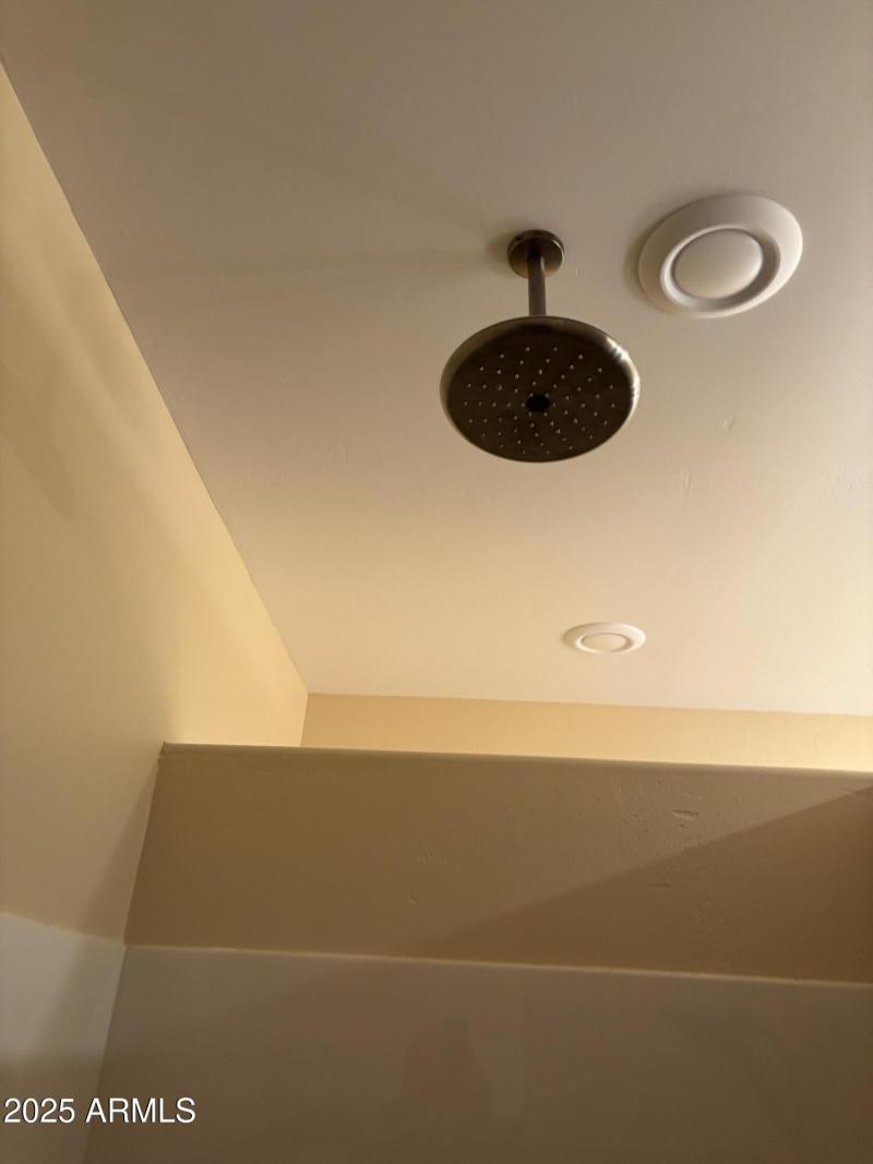 IMG_1364 shower rainhead