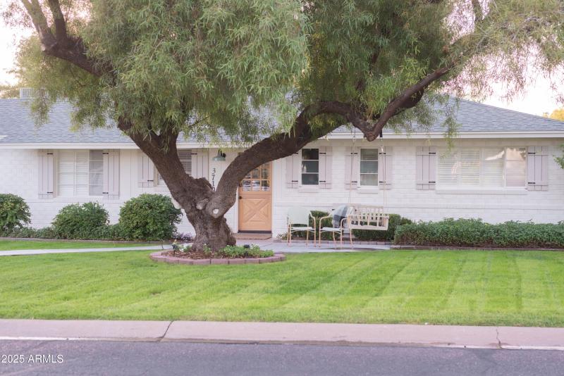 Quiet Street in Arcadia Osborn