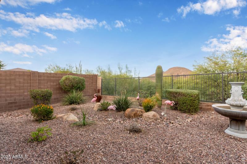 Backyard Mountain Views