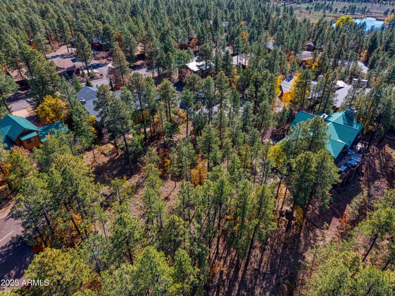 2189 CREEKSIDE CT 19, Pinetop, AZ 85935