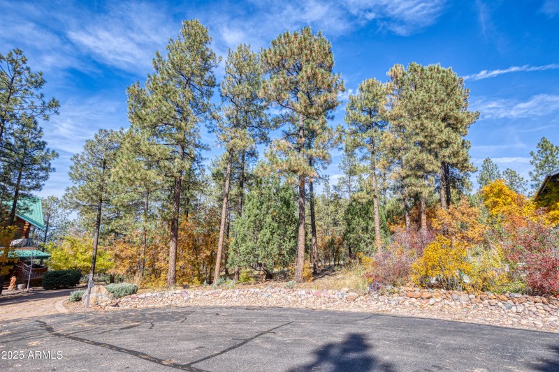 2189 CREEKSIDE CT 19, Pinetop, AZ 85935