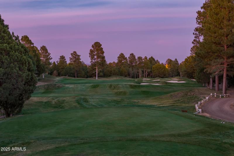 71) #16TH HOLE BEHIND HOUSE
