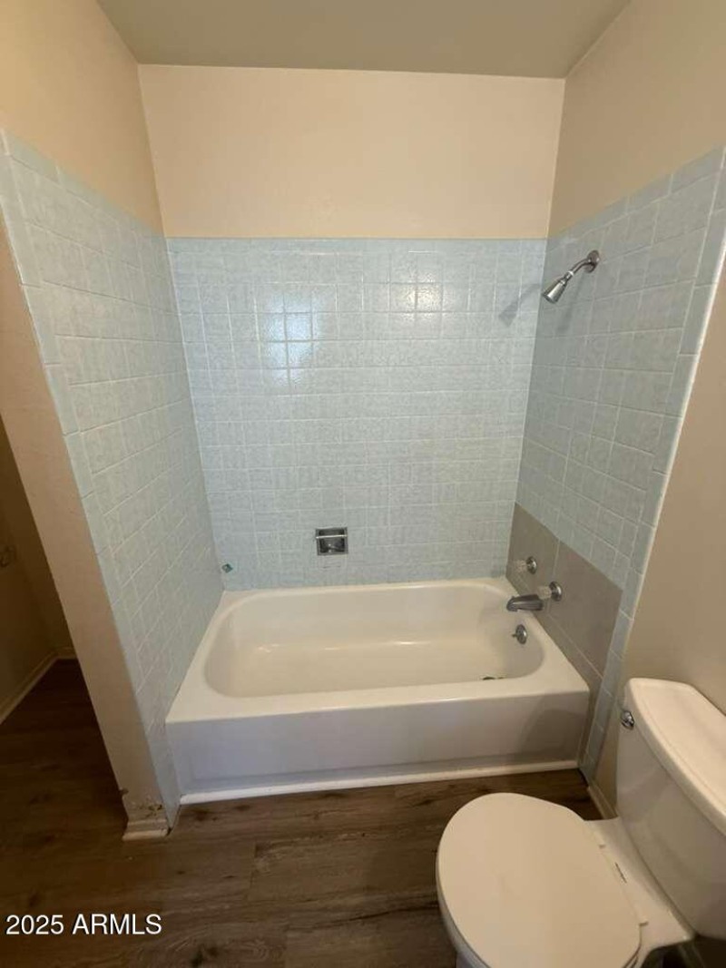 WhatsApp Image 2025-11-03 at 2.06.37 PM