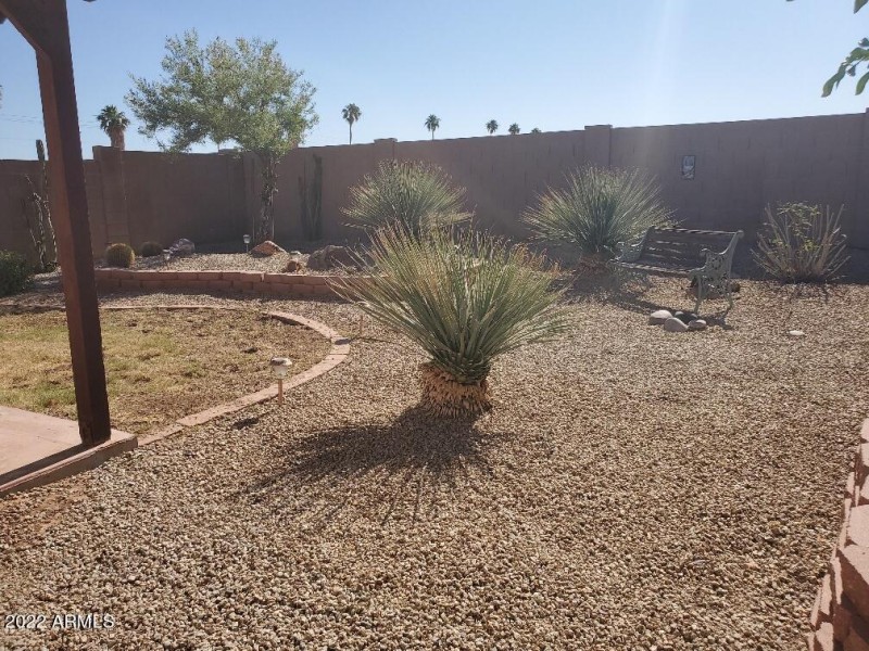 20210528_083730_resized