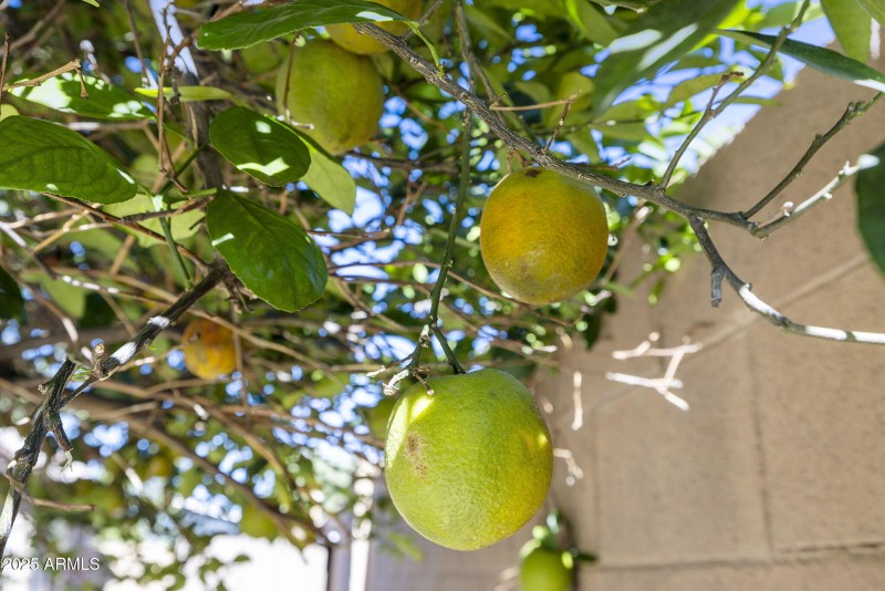 51-web-or-mls-_TM_7120