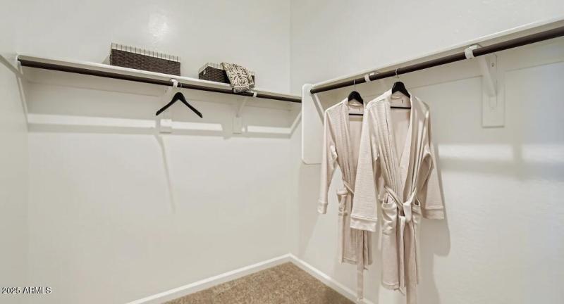 Owners Walk in Closet