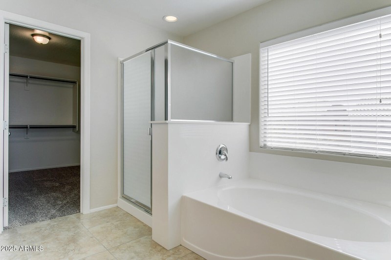 Primary tub and shower