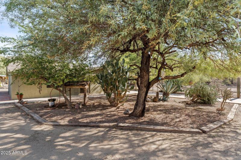 36-web-or-mls-DSC04986