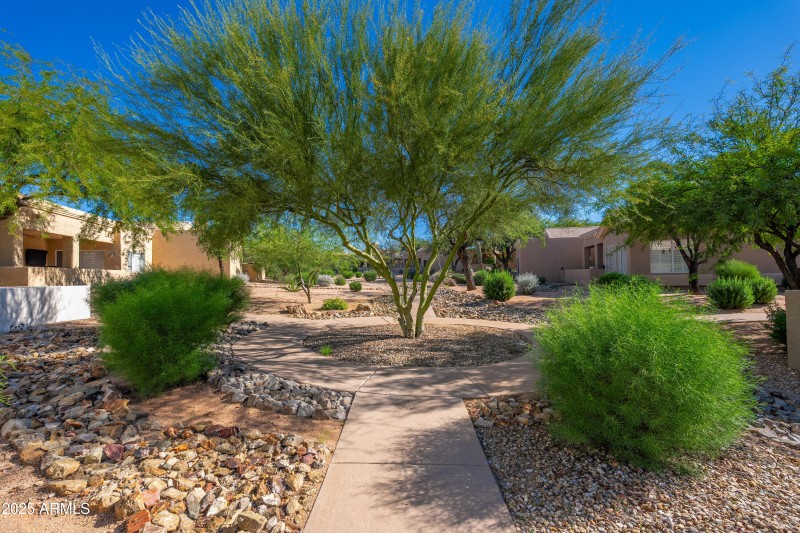 4729 E Casey Ln - 36