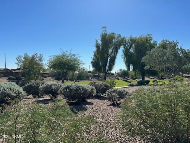 View of the common area