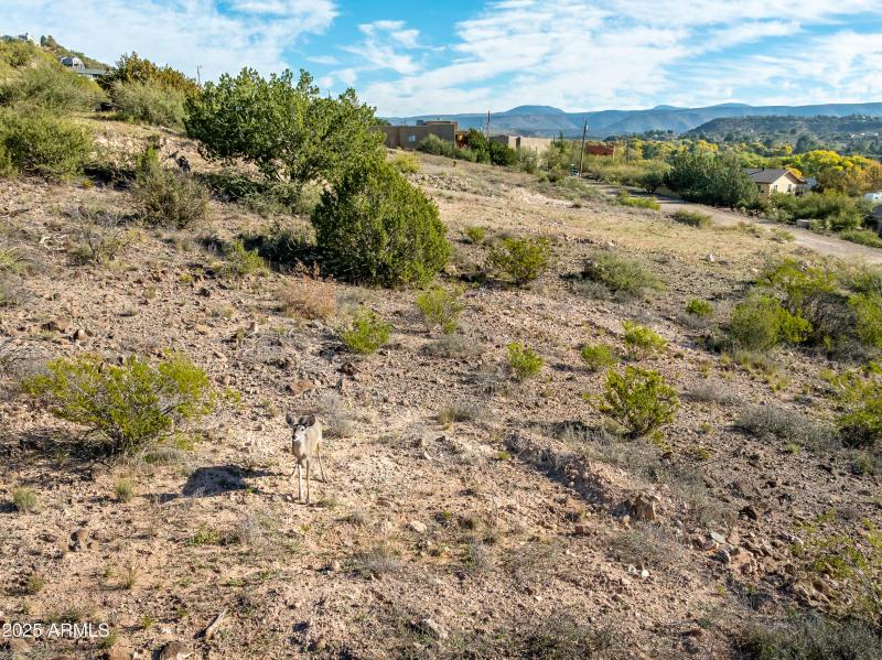 3455 Rusty Spurs Rd Rimrock AZ-29