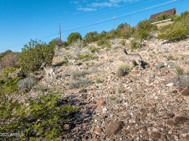 3455 Rusty Spurs Rd Rimrock AZ-30