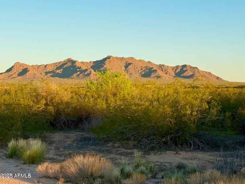 20251002061642631528000000-o (1)