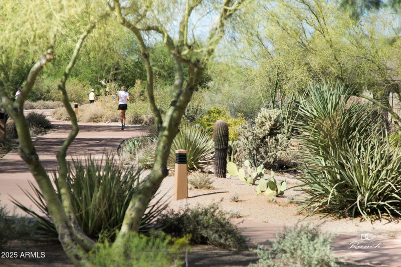 Path and Trail System 1