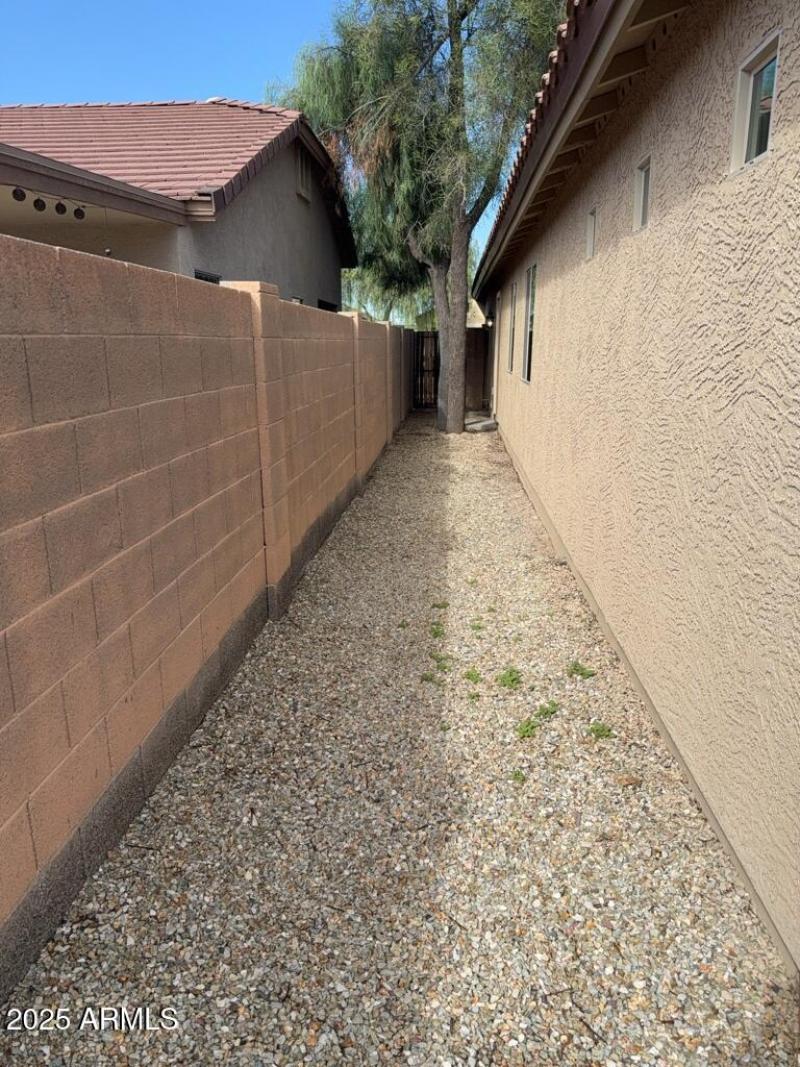 Side Yard_Exterior_1