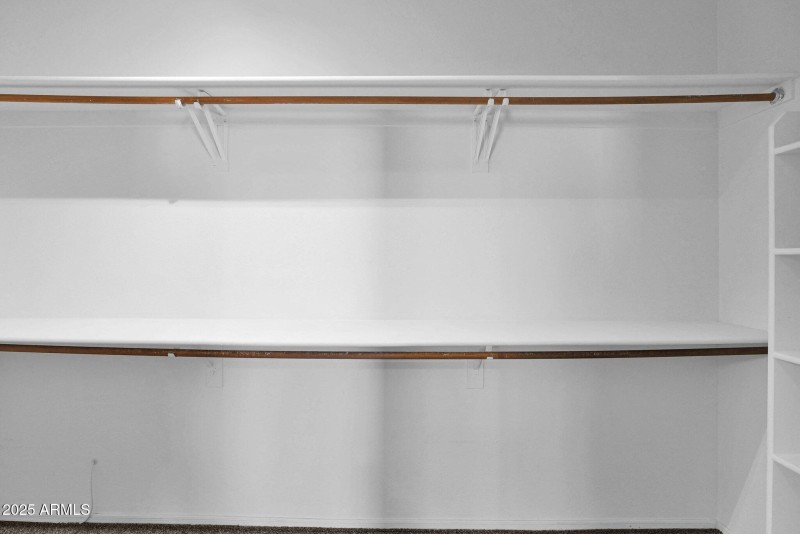 23-web-or-mls-P1044262