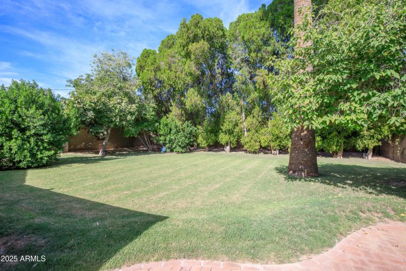 330 Medlock Pic 14- Backyard (2)