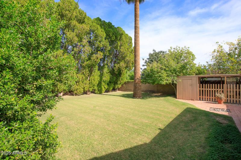 330 Medlock Pic 15- Backyard (3)