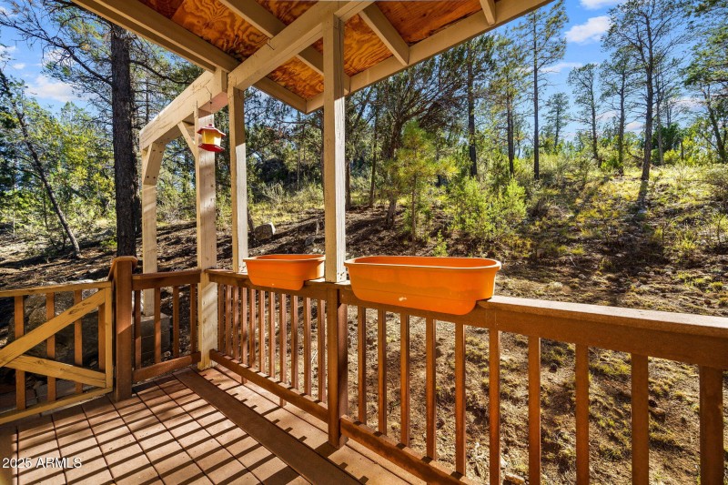 3684DiamondbackDr-HeberOvergaard-AZ-22