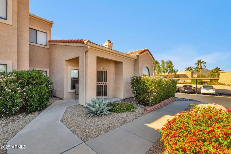 1-web-or-mls-322A8494