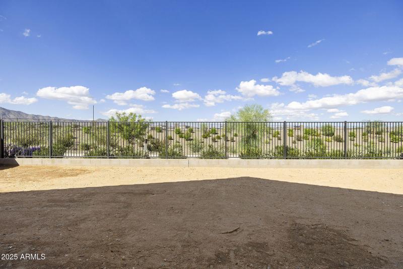 NO BACK YARD NEIGHBORS