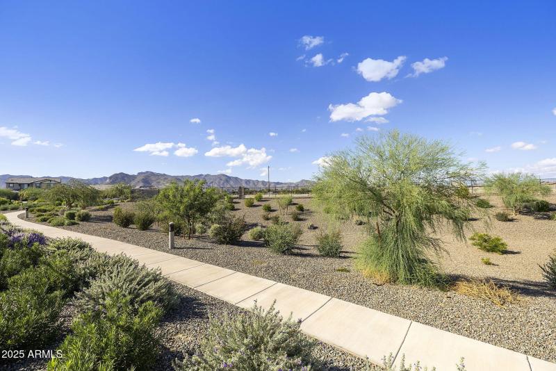 OPEN SPACE BEHIND HOME