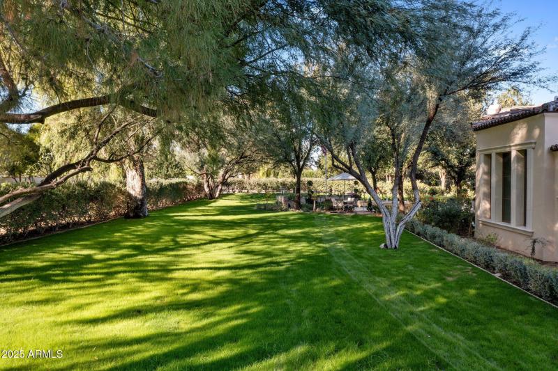 85-web-or-mls-DJI_0600