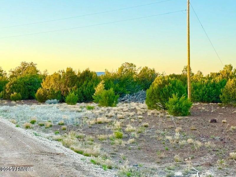 20251103233442070494000000-o