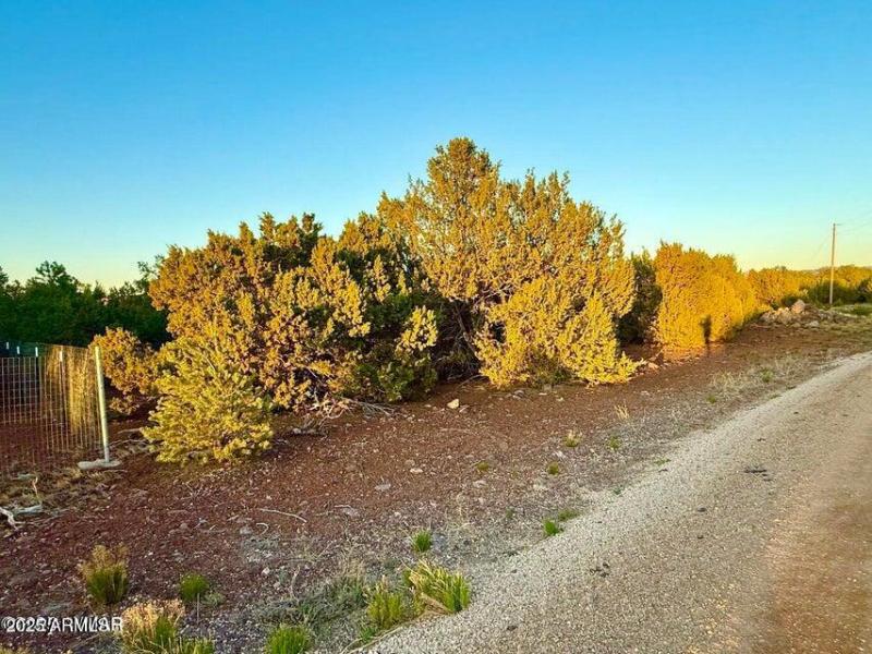 20251103233611071203000000-o