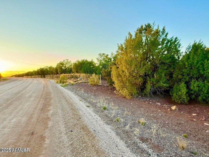 20251103234443506373000000-o