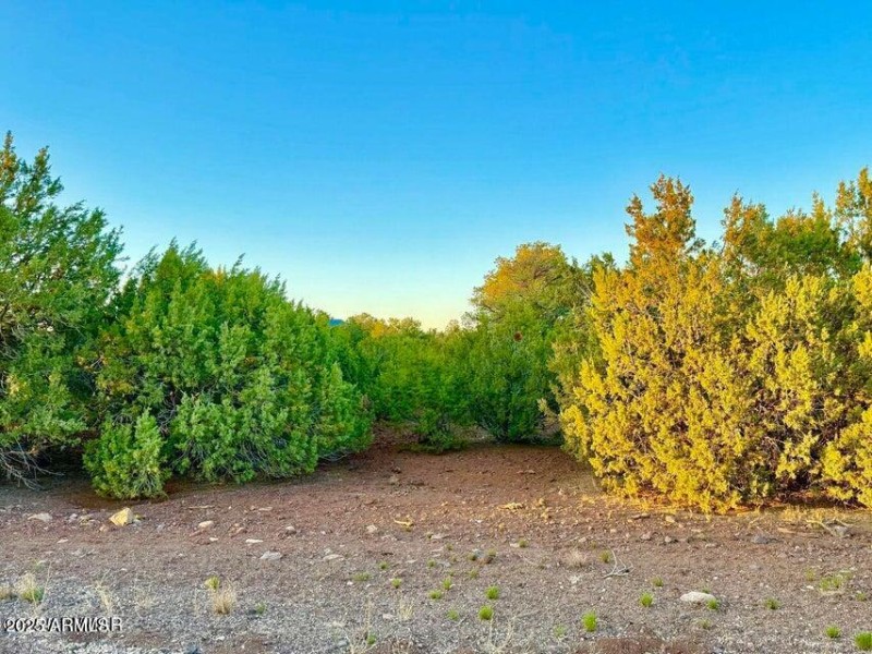 20251103234539945937000000-o