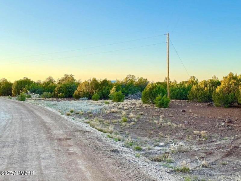 20251103235258393452000000-o