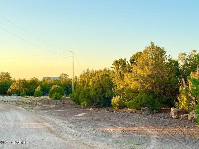 20251103235412607813000000-o